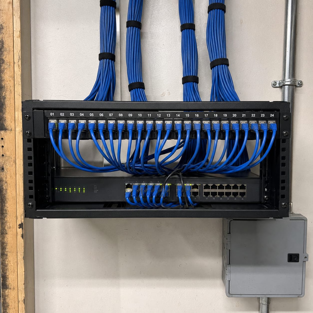 Wall-mounted network rack with a 24-port patch panel and blue Cat6 cabling terminated and labeled